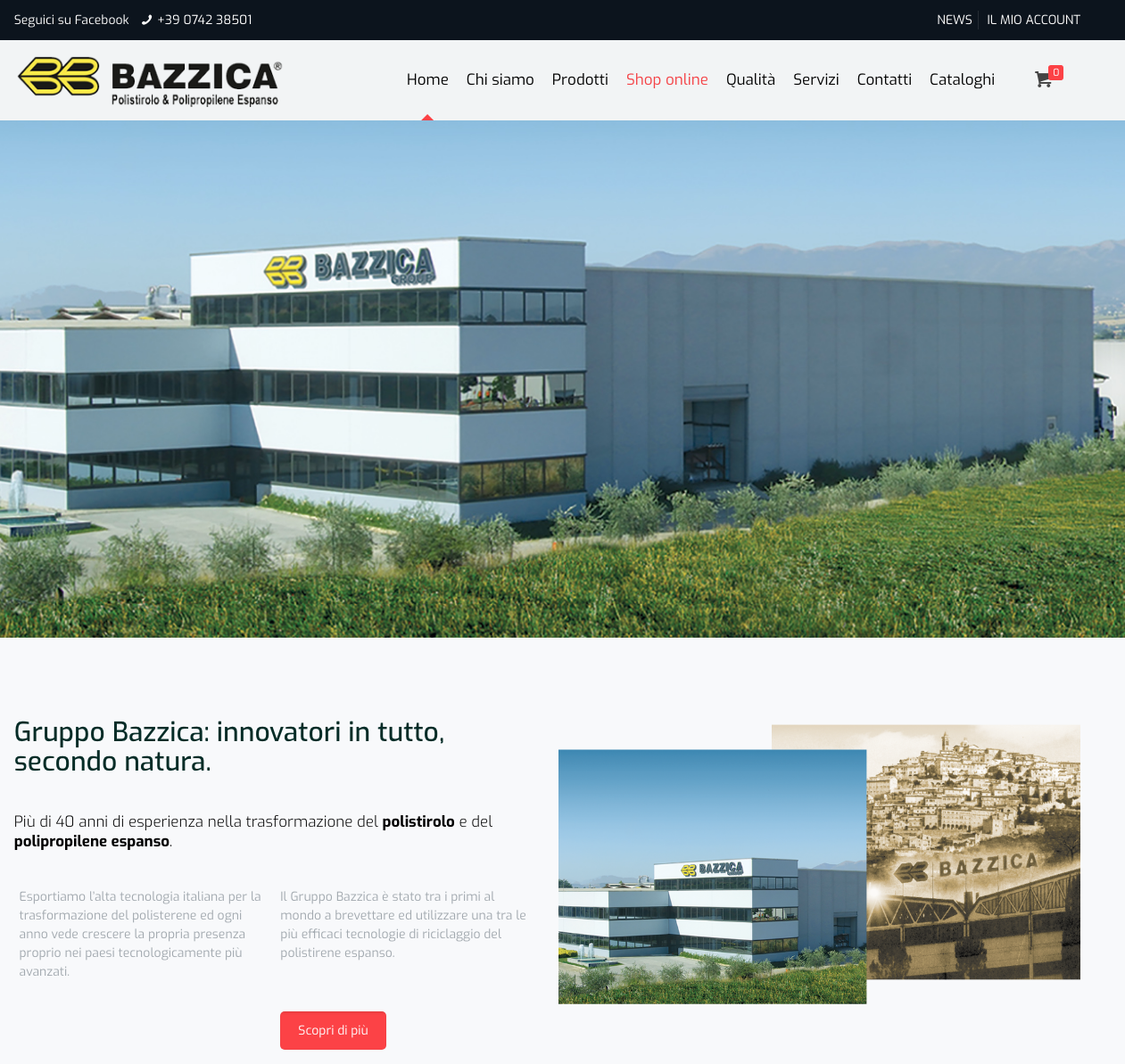 official web site bazzica group